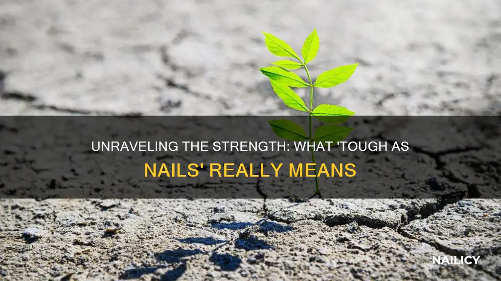 what does all tough as nails mean