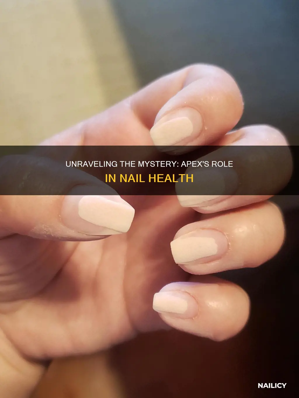 what does apex mean in nails