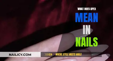 The Ultimate Guide to Apex Nail Shapes