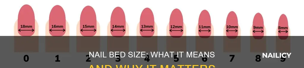 what does big nail beds mean