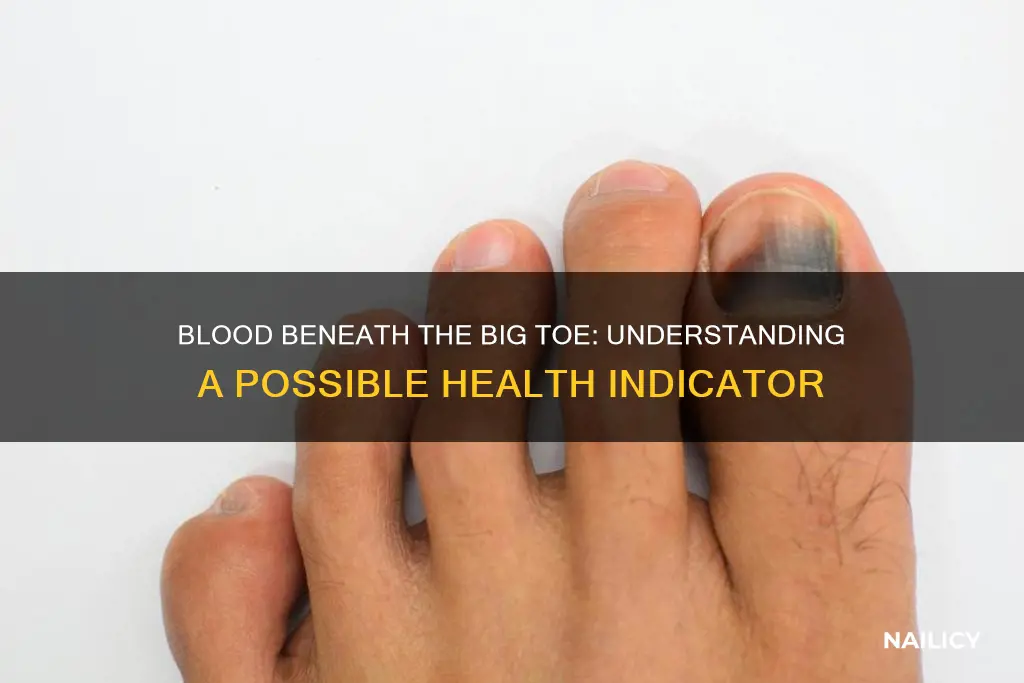 what does blood behind the big toe nail mean