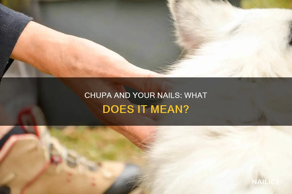 what does chupa mean when your nail mean