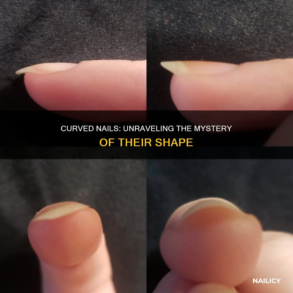 what does curved finger nails mean