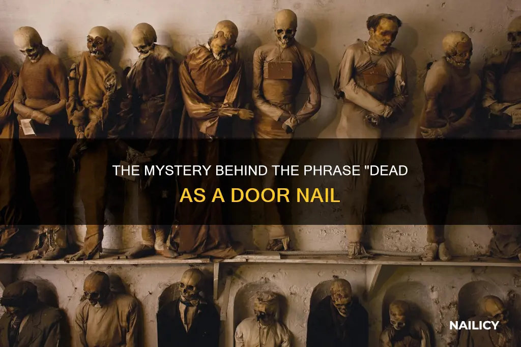 what does dead as a door nail mean