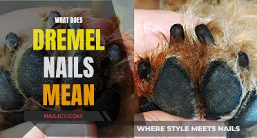 Dremel Nails: A Comfortable and Quiet Alternative for Dogs