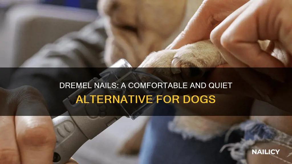 what does dremel nails mean