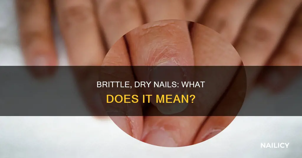 what does dry brittle nails mean