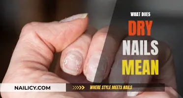 Understanding Dry Nails: Causes, Solutions, and Prevention Tips