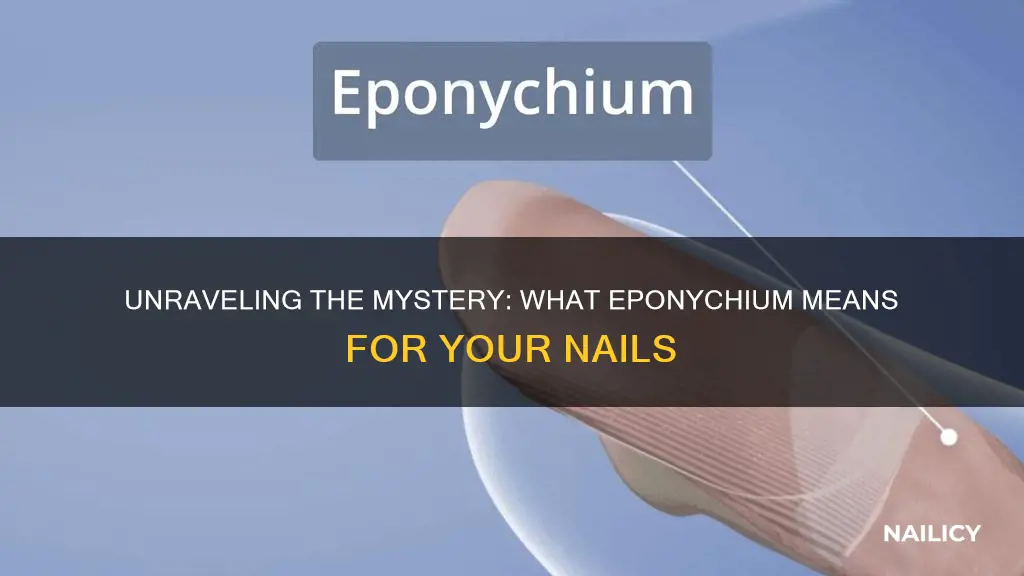 what does eponychium mean in nails