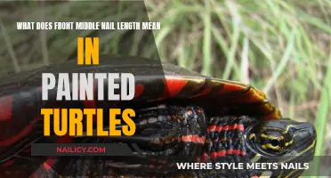 Nail Length Secrets: Unlocking Front Middle Mystery in Painted Turtles