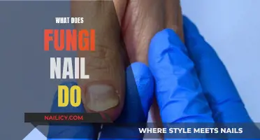 Exploring the Benefits and Uses of Fungi Nail Supplements