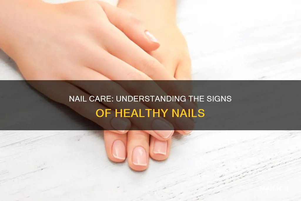 what does healthy nails mean