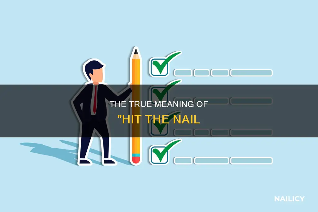 what does hit the nail mean