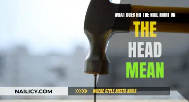 The Real Meaning of "Hit the Nail on the Head