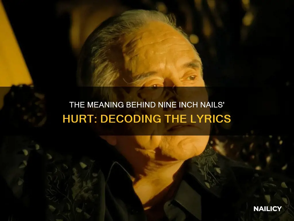 what does hurt by nine inch nails mean