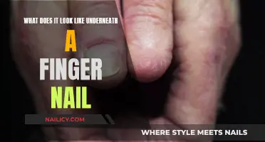 Exploring the Microscopic World Under Fingernails
