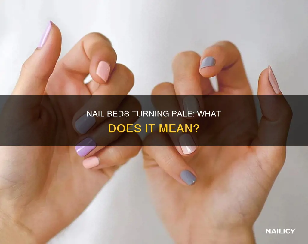 what does it mean if my nails beds are pale