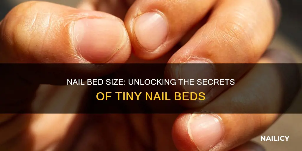 what does it mean if you have tiny nail beds