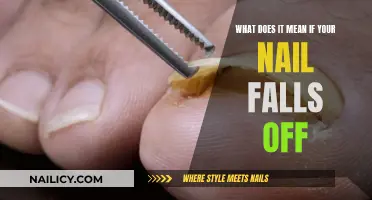 Nail Loss: Understanding the Causes and When to Seek Help