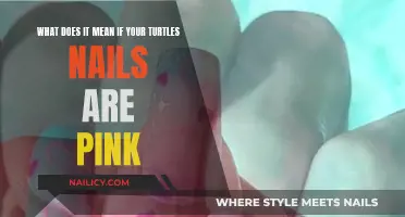 Turtle Nail Color: What Does Pink Mean?