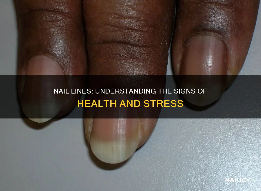 what does it mean raized lines on the nails