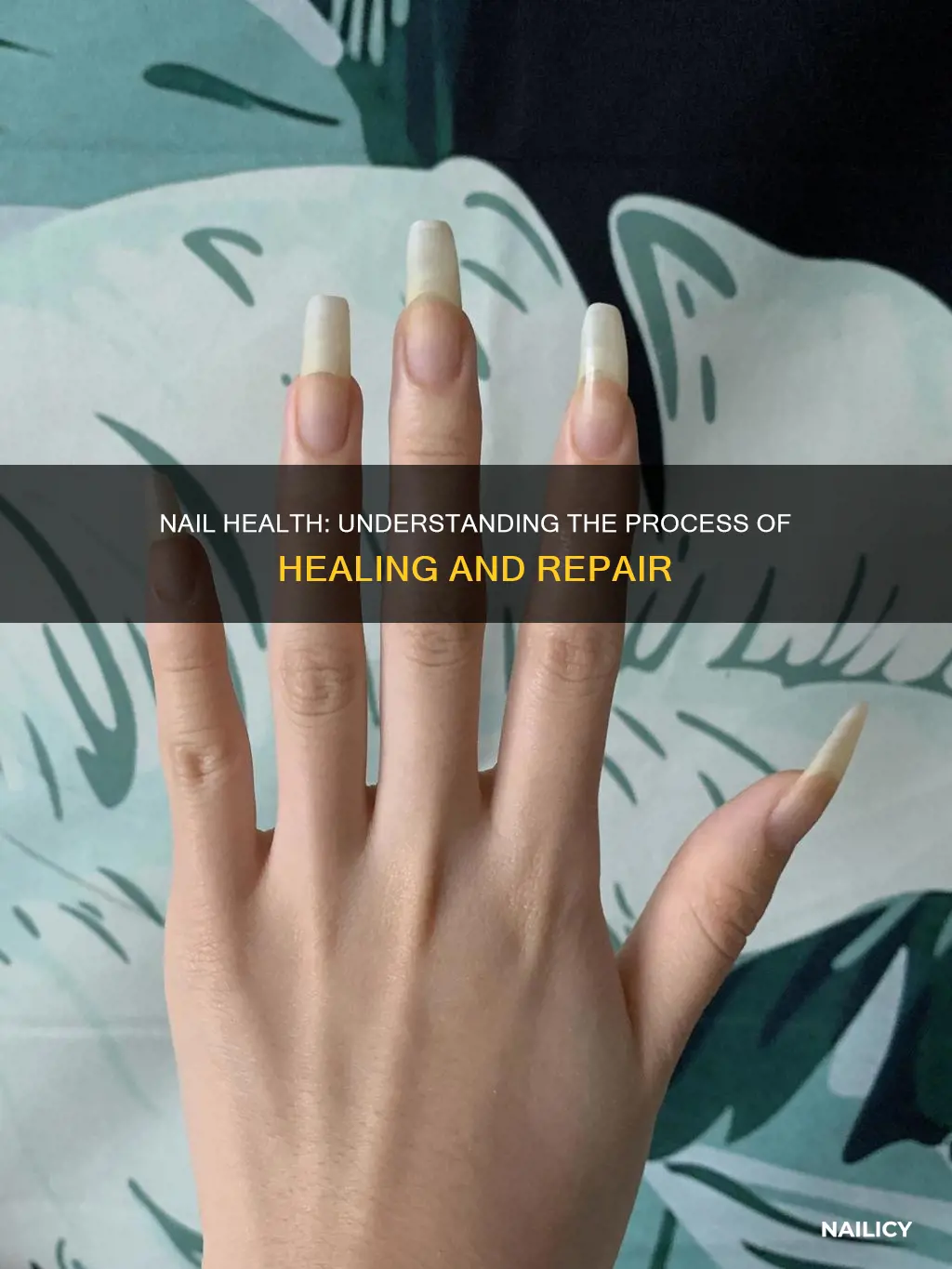 what does it mean to cure nails