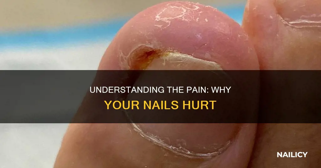 what does it mean when your finger nails hurt