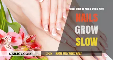 Why Do Nails Grow Slow?
