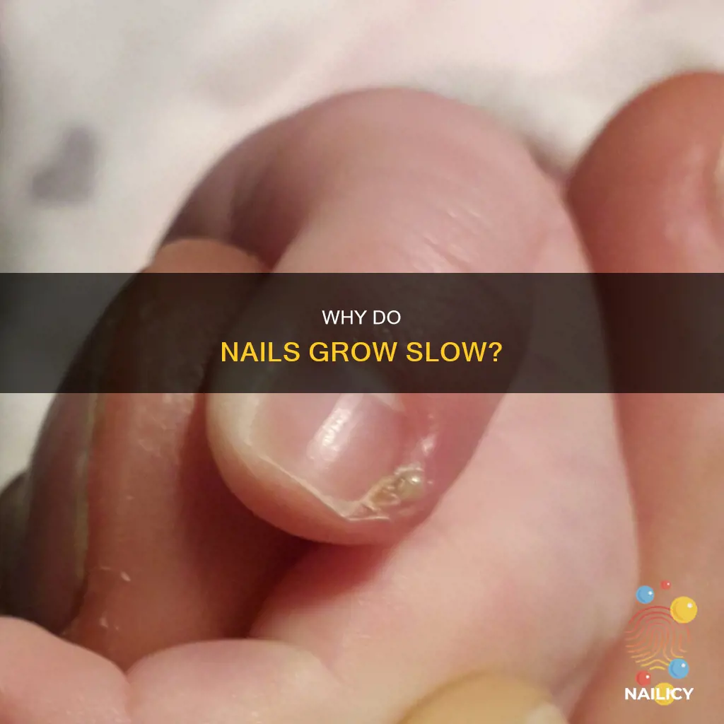 what does it mean when your nails grow slow