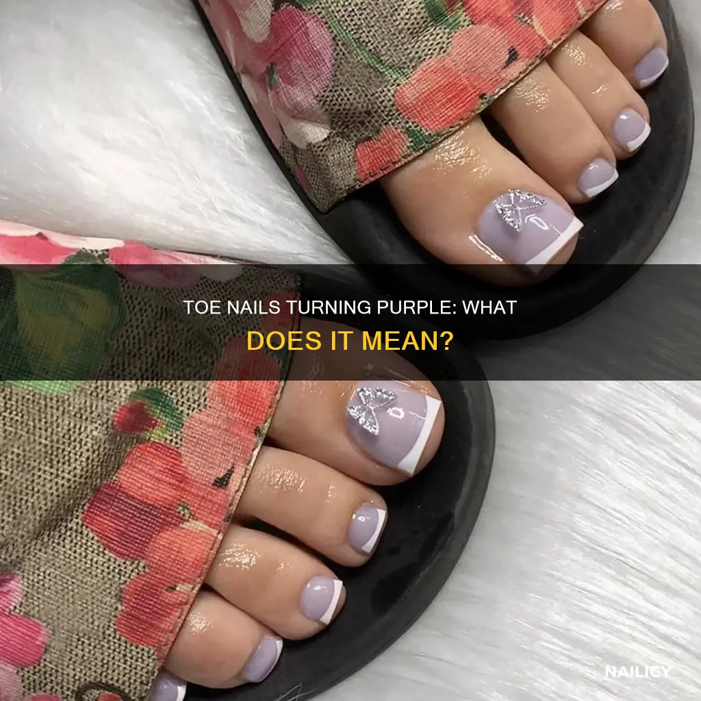 what does it mean when your toe nails look purple