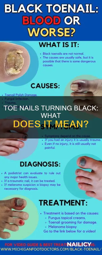 what does it mean when your toe nails turn black