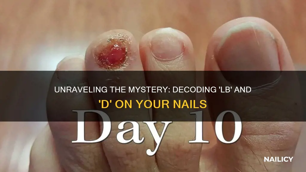 what does lb and d mean on nails