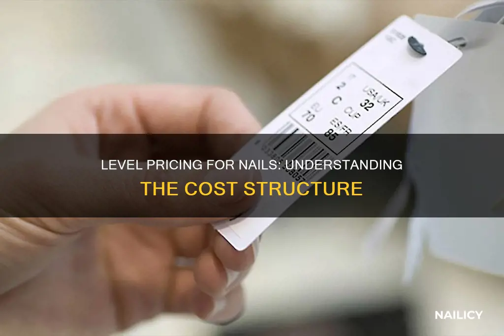 what does level pricing mean for nails