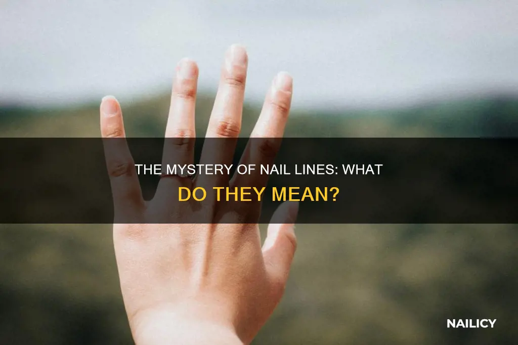 what does lines down my nails mean