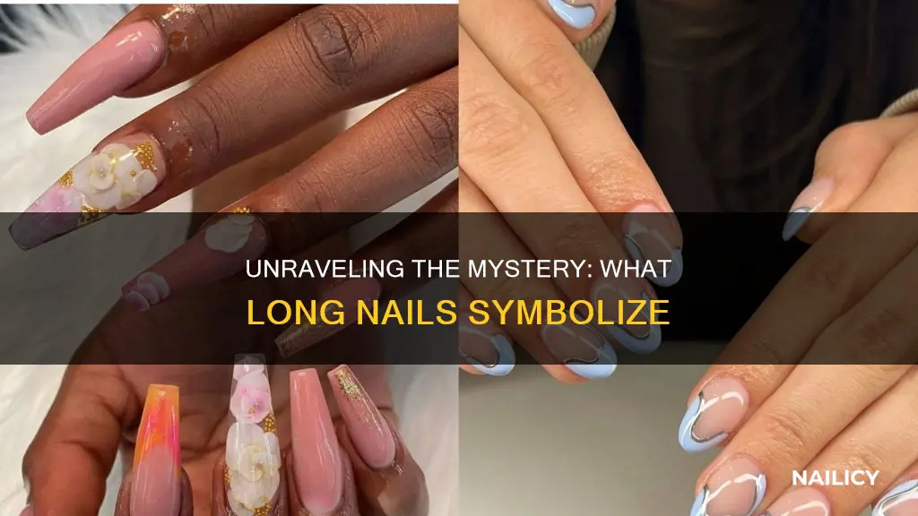 what does long nail mean