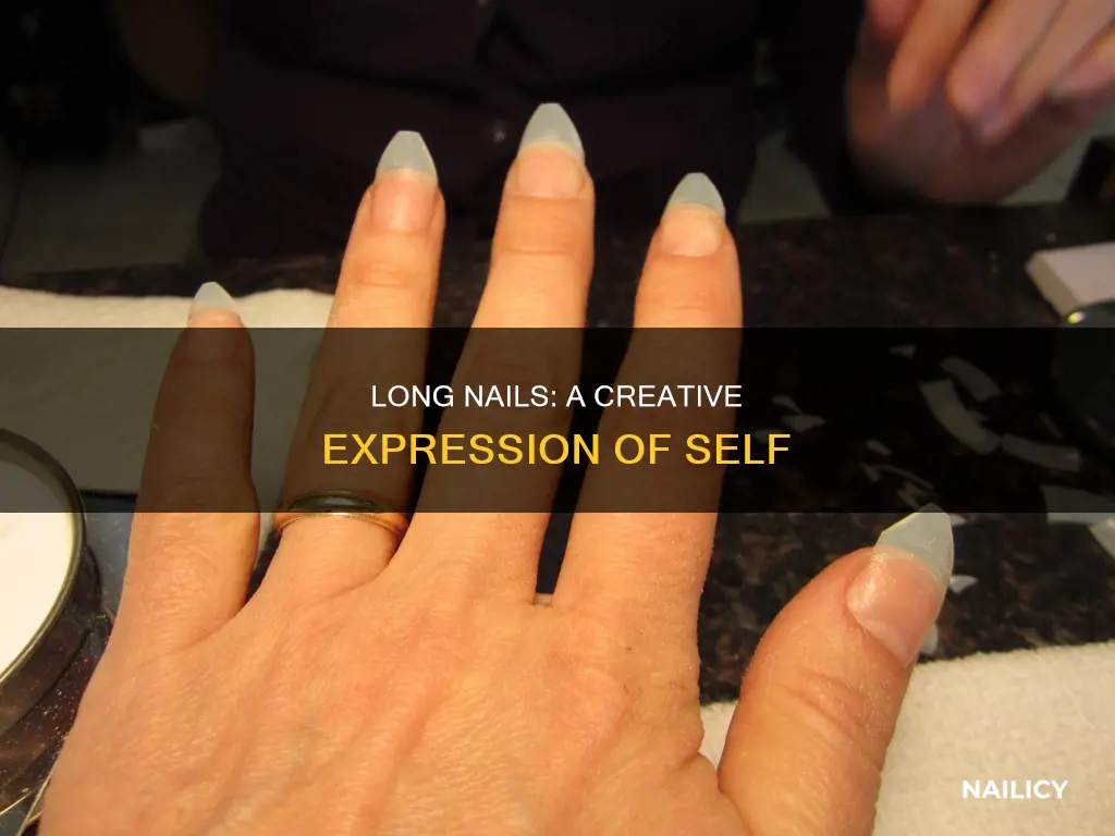 what does long nail mean