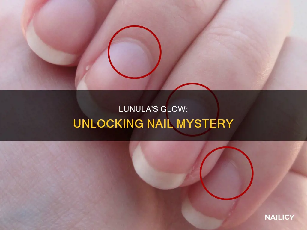 what does lunula on nails mean