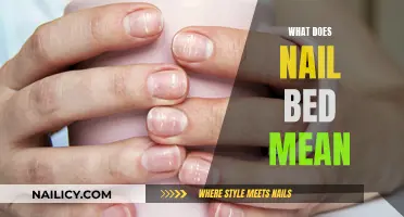 Unraveling the Mystery: What Exactly is the Nail Bed?