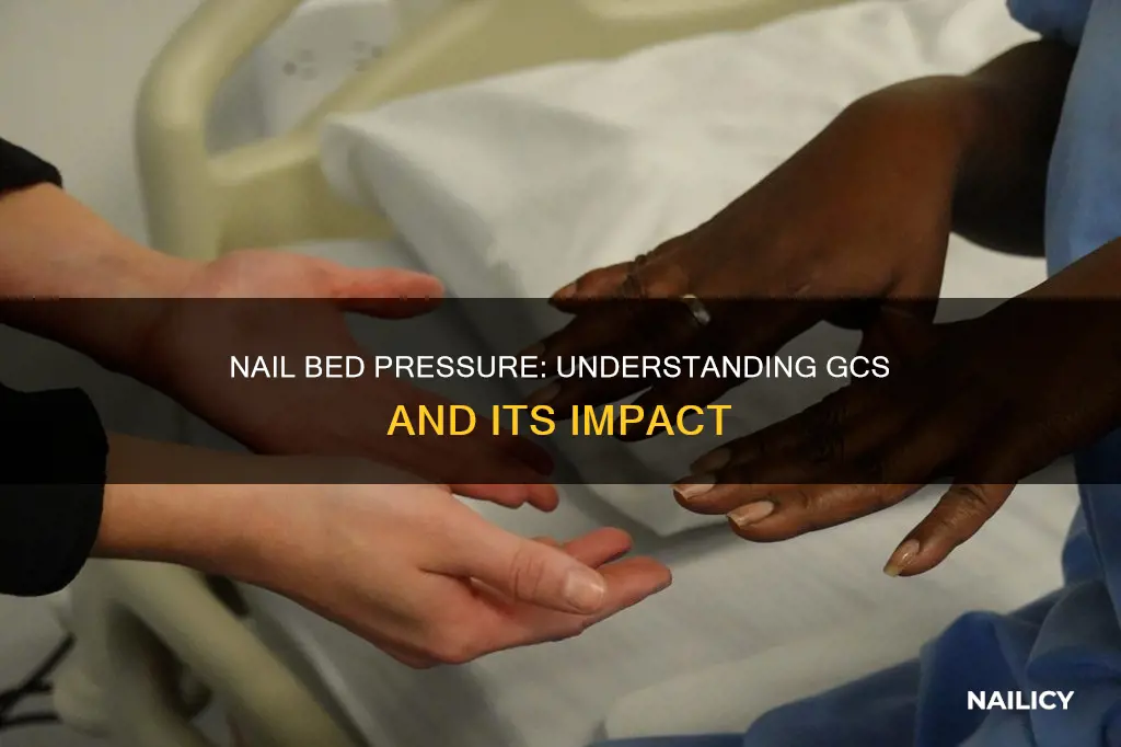 what does nail bed pressure mean gcs