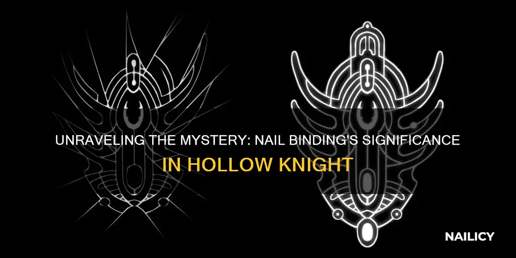 what does nail binding mean hollow knight