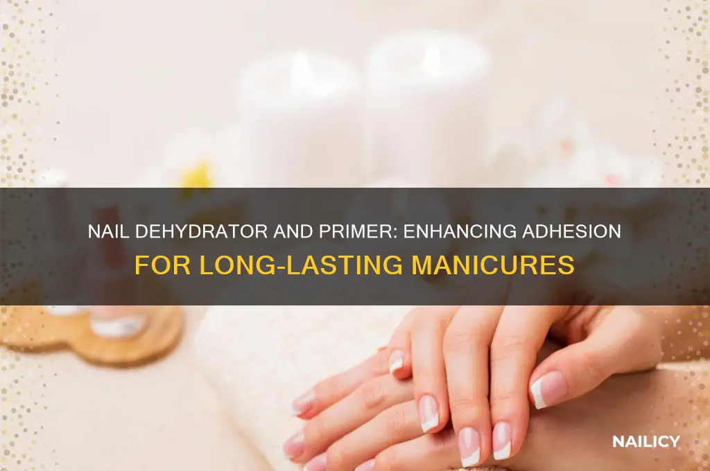 what does nail dehydrator and primer do