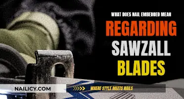 Understanding Nail-Embedded Sawzall Blades: Their Meaning and Use