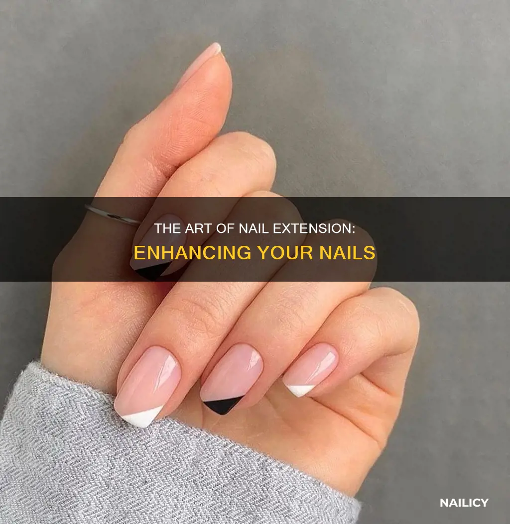 what does nail extension mean