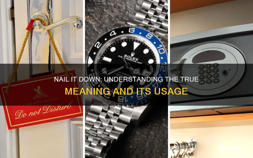 what does nail it down mean