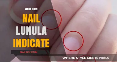 Decoding the Lunula: What Your Nail Health Reveals