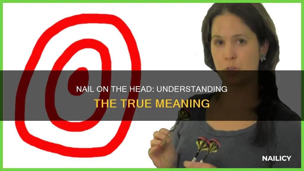 what does nail on the head mean
