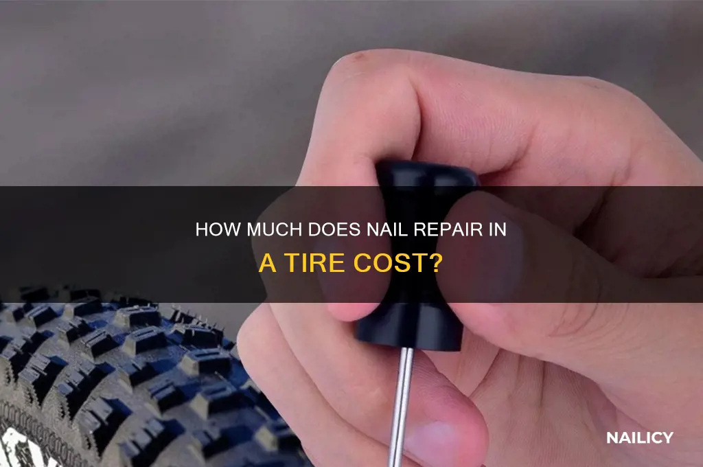 what does nail repair in a tire cost