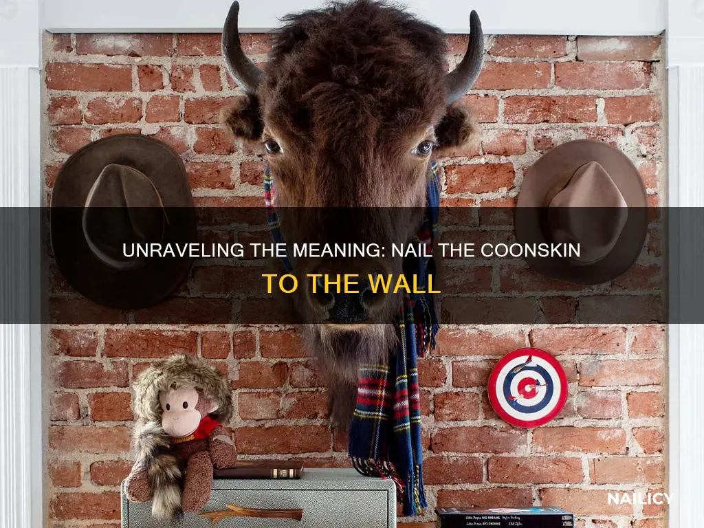 what does nail the coonskin to the wall mean