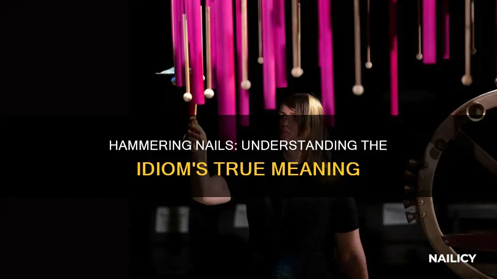 what does nail the hammer on the head mean