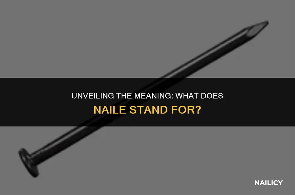 what does naile stand for